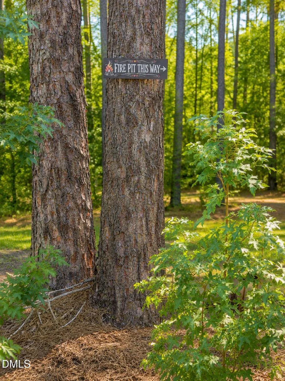 138 Ottawa Drive Louisburg, NC 27549