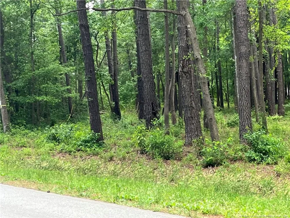 0 Bryant Circle Maxton, NC 28364