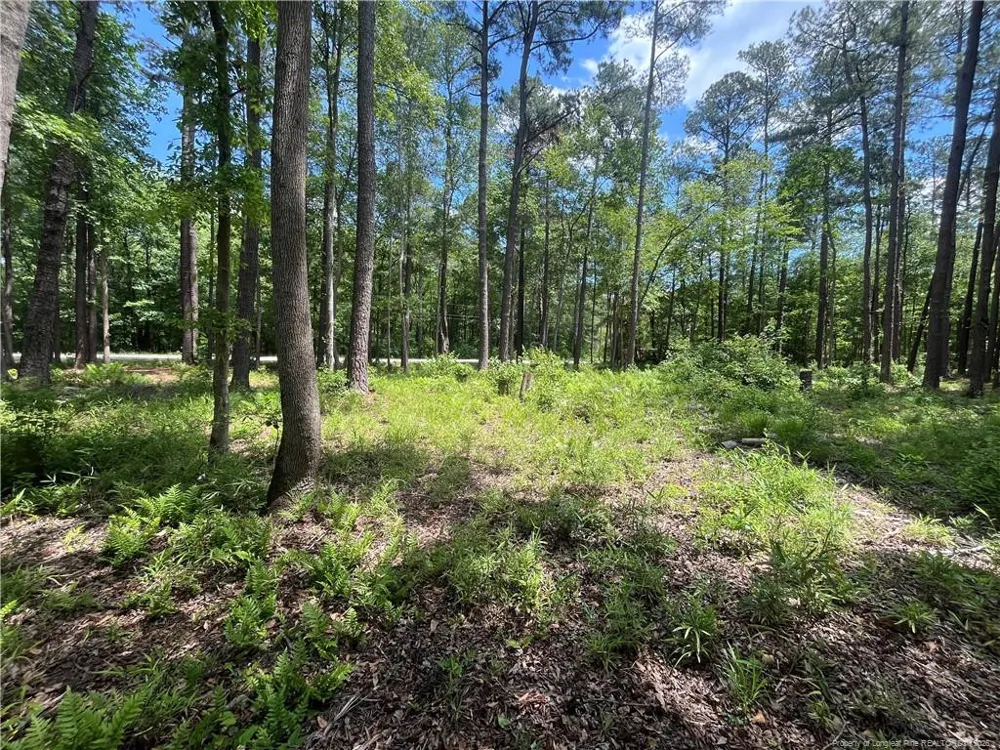 0 Bryant Circle Maxton, NC 28364