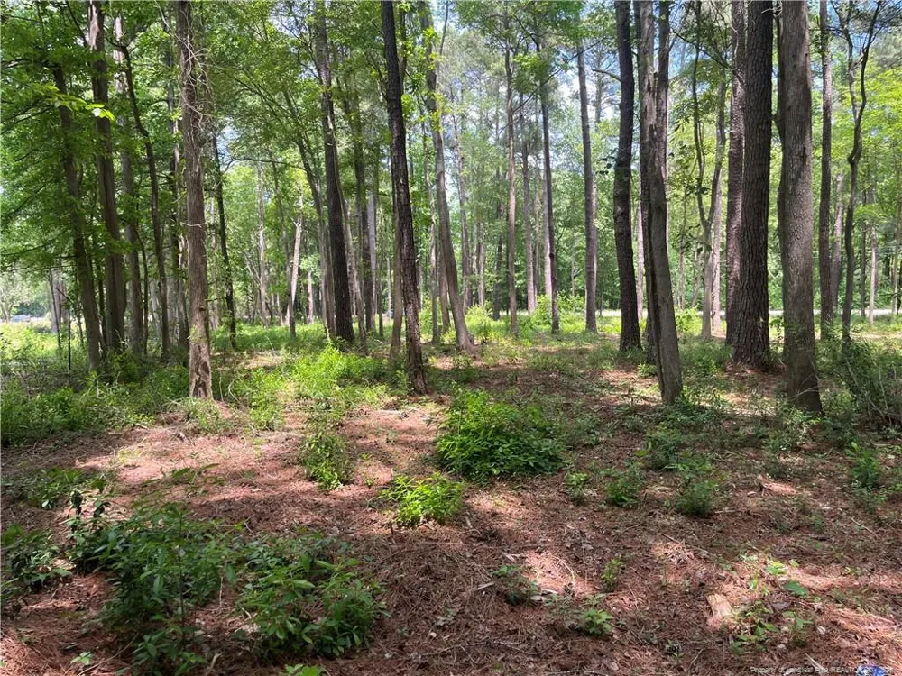 0 Bryant Circle Maxton, NC 28364