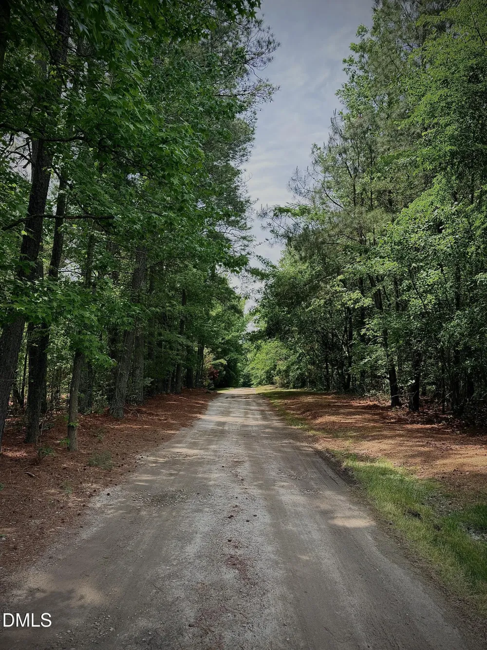 0 Honeydo Lane Zebulon, NC 27597