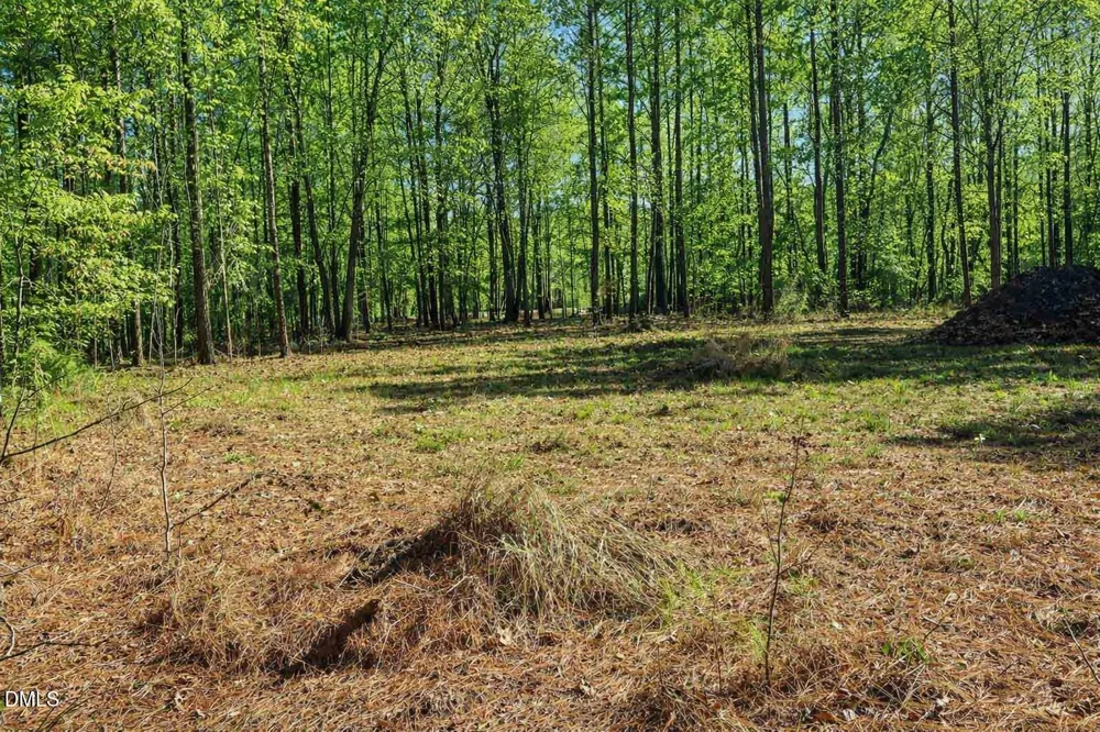 8177 North Carolina 42 Holly Springs, NC 27540