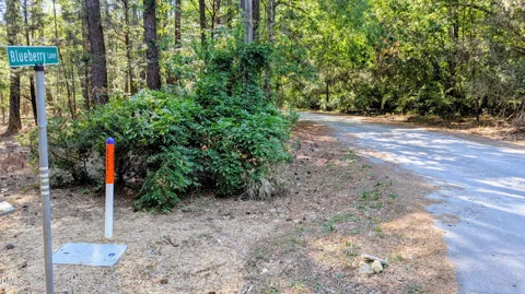 Lot 1 Blueberry Lane