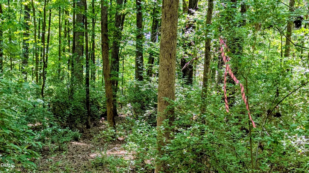 Lot 1 Blueberry Lane Chapel Hill, NC 27516