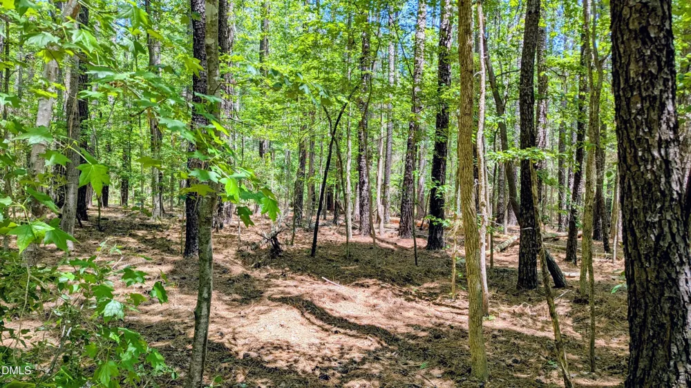 Lot 1 Blueberry Lane Chapel Hill, NC 27516