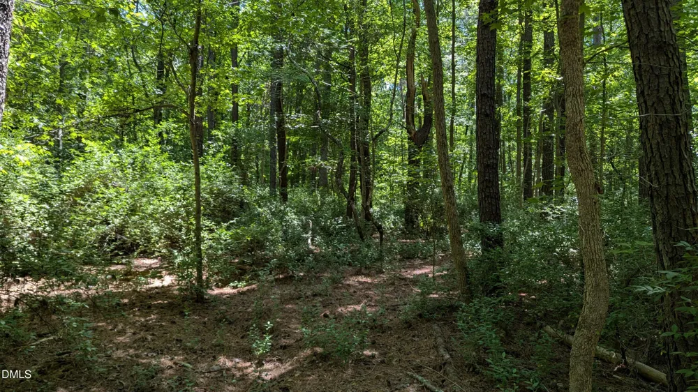Lot 1 Blueberry Lane Chapel Hill, NC 27516