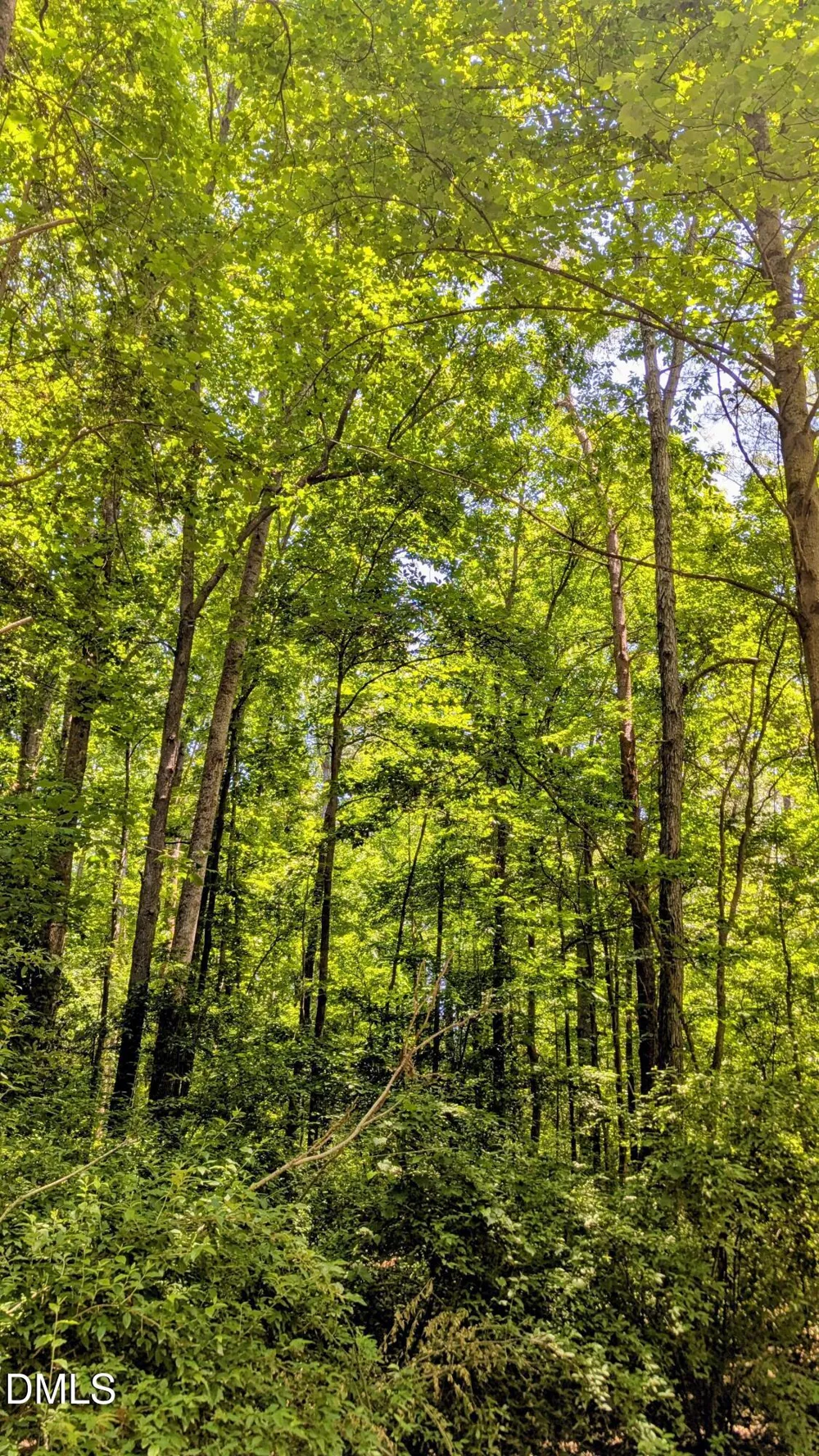 Lot 1 Blueberry Lane Chapel Hill, NC 27516