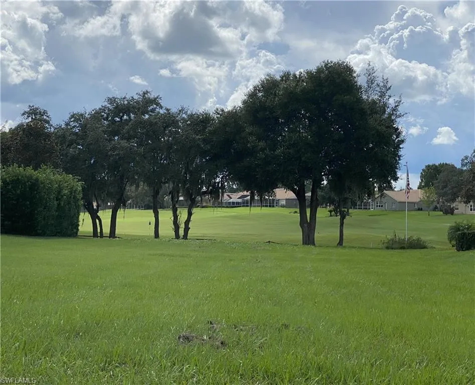 13423 Trailing Moss Drive Dade City, FL 33525