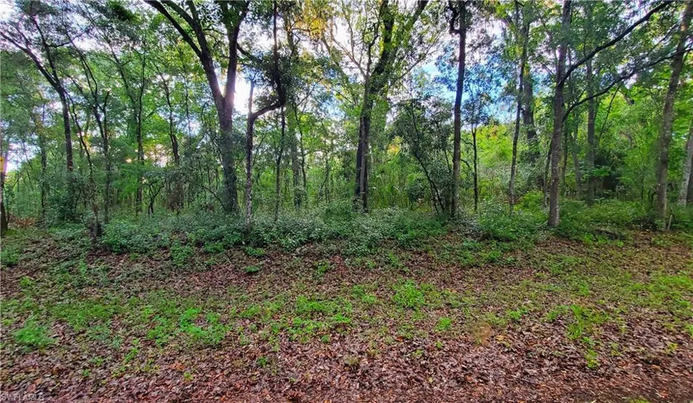 7153 Kenyon Drive Webster, FL 33597