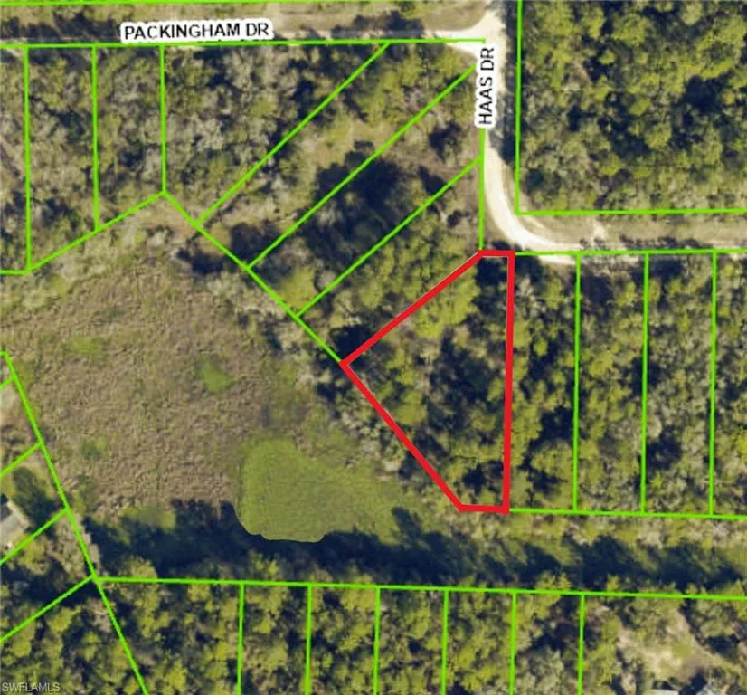 34160 Haas Drive Webster, FL 33597