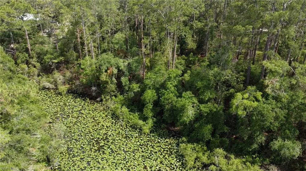 34160 Haas Drive Webster, FL 33597