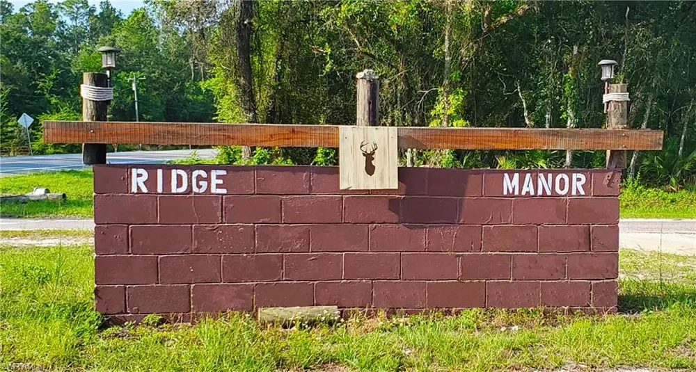 34160 Haas Drive Webster, FL 33597
