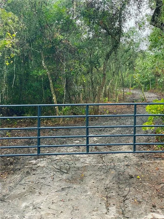 8115 Shasta Street Webster, FL 33597