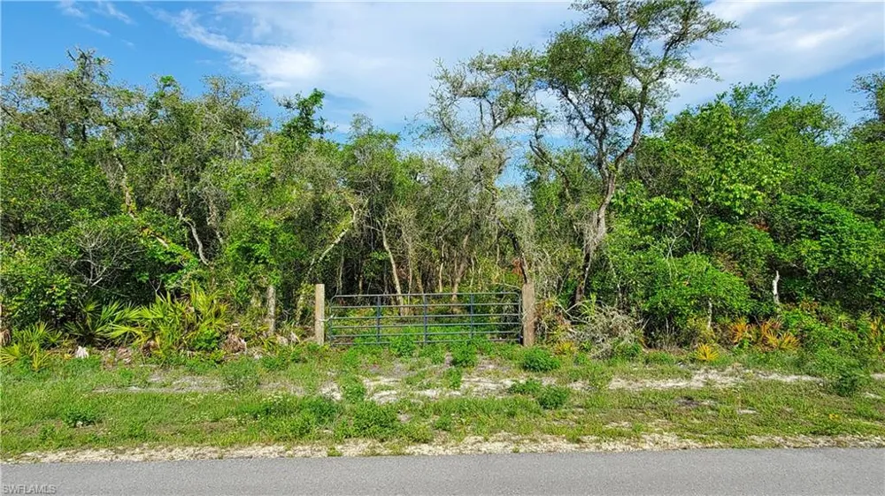 8115 Shasta Street Webster, FL 33597