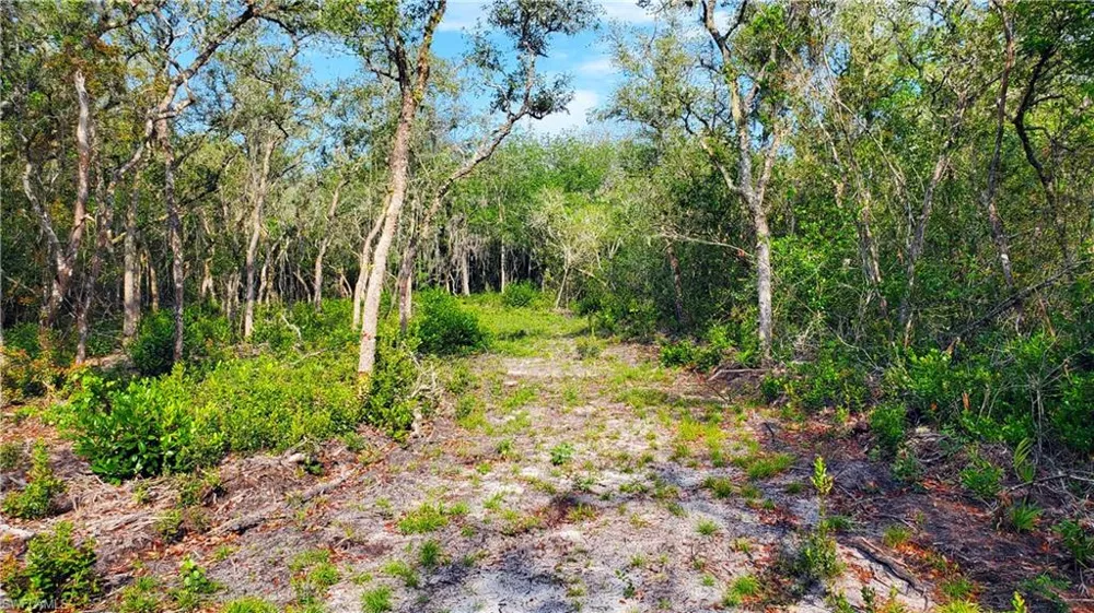 8115 Shasta Street Webster, FL 33597