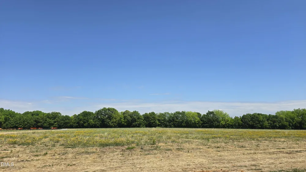 Lot 11 Dogeye Road Benson, NC 27504