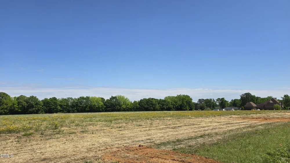 Lot 10 Dogeye Road Benson, NC 27504