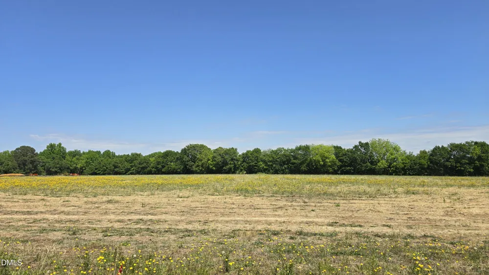 Lot 10 Dogeye Road Benson, NC 27504
