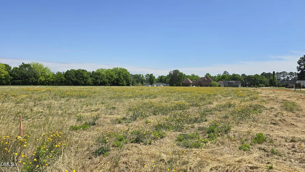 Lot 10 Dogeye Road Benson, NC 27504