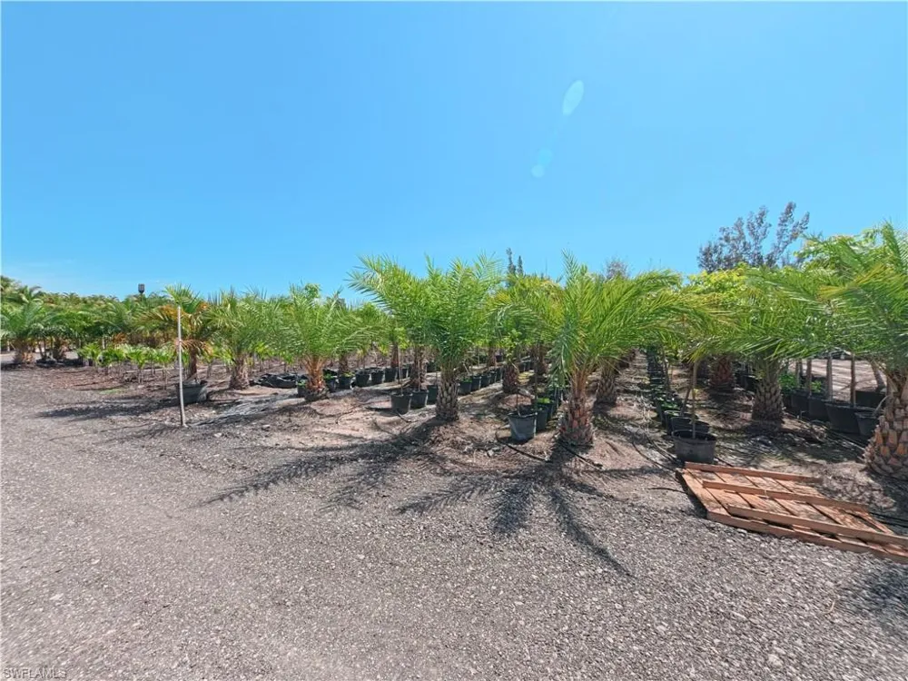 12242 Eagles Nest Drive Bokeelia, FL 33922