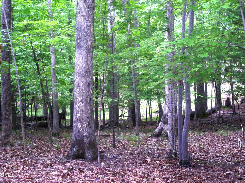 105 Oak Run Clarksville, VA 23927