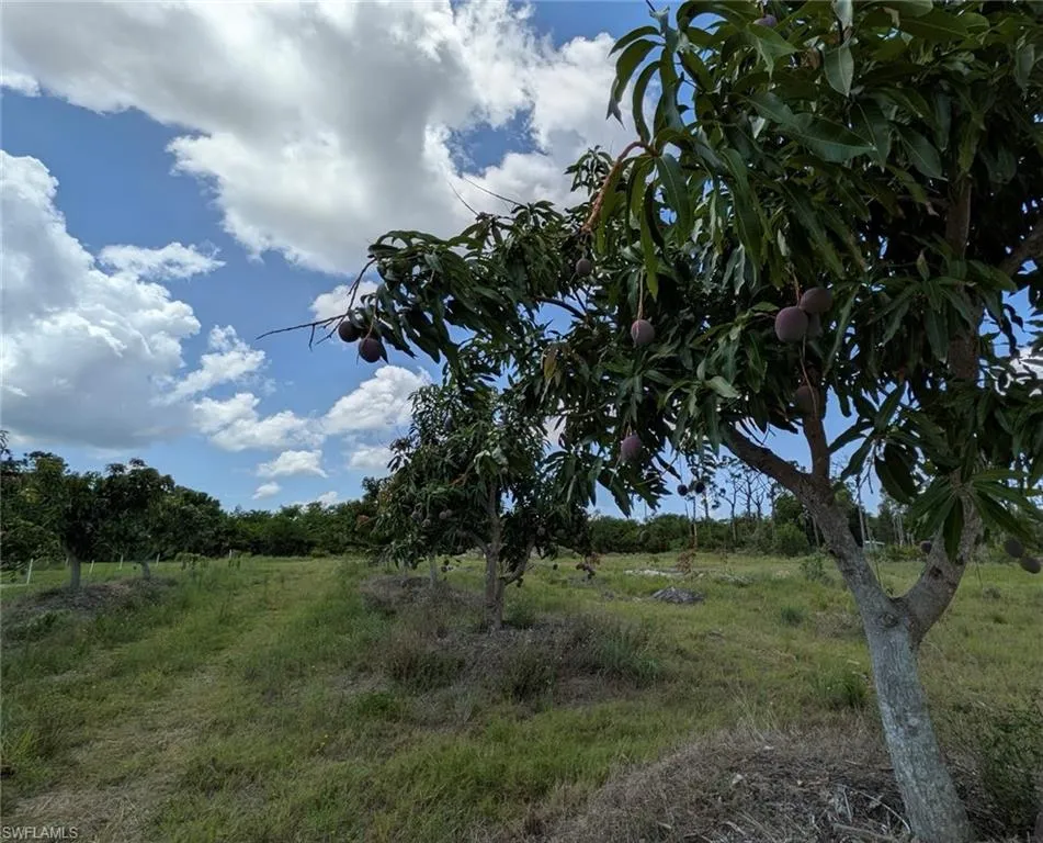 4159 Sunshine Boulevard St. James City, FL 33956