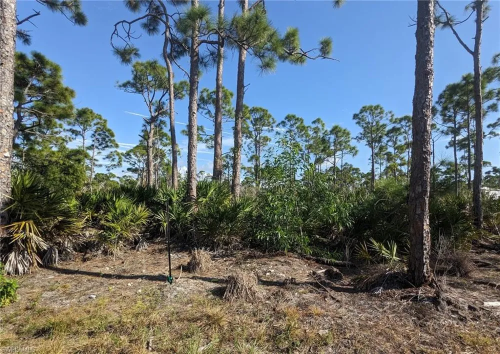 4159 Sunshine Boulevard St. James City, FL 33956