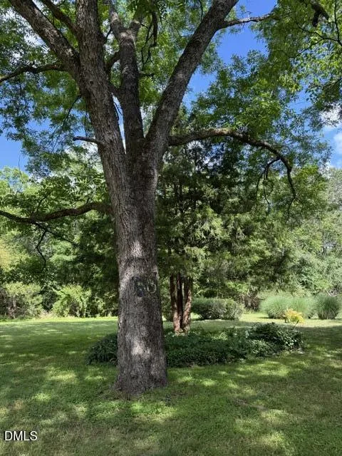 3415 Mt Willing Road Efland, NC 27243