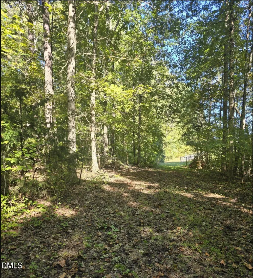 29.86ac Nc-86 Hillsborough, NC 27278