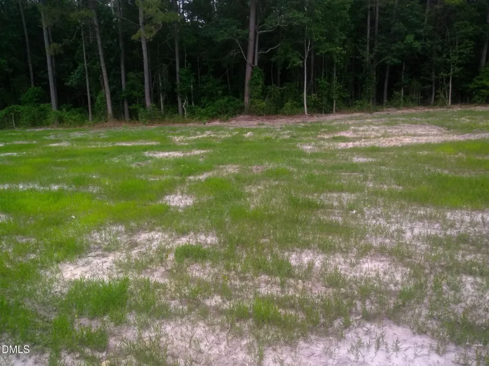 Tbd Pridgen Dead End Road La Grange, NC 28551