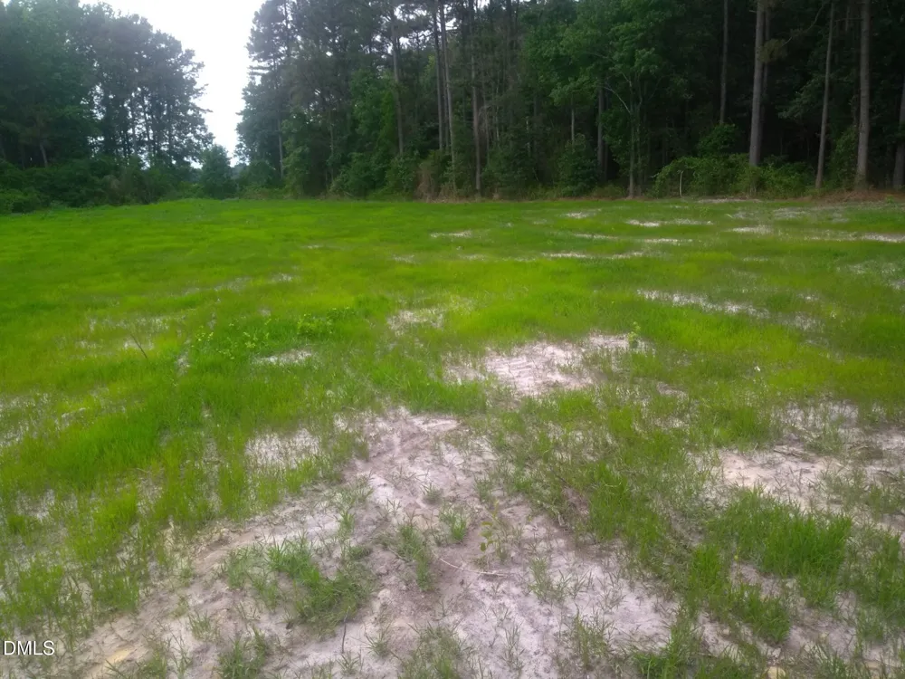 Tbd Pridgen Dead End Road La Grange, NC 28551