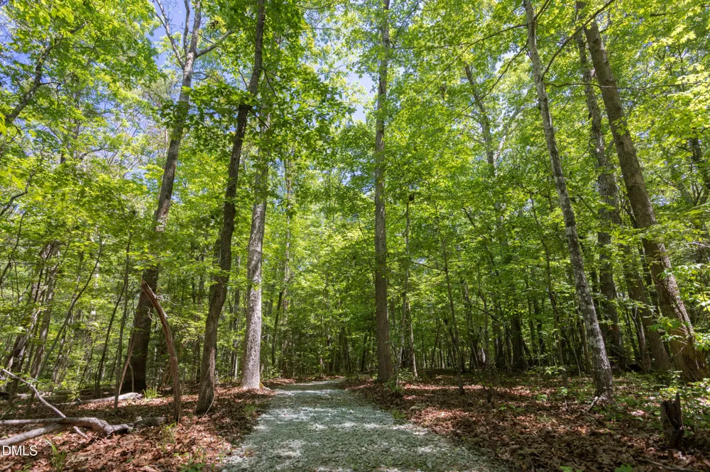 260 Bc Way Rougemont, NC 27572
