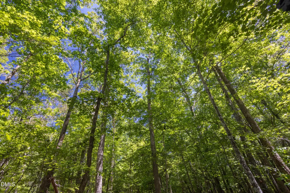 260 Bc Way Rougemont, NC 27572