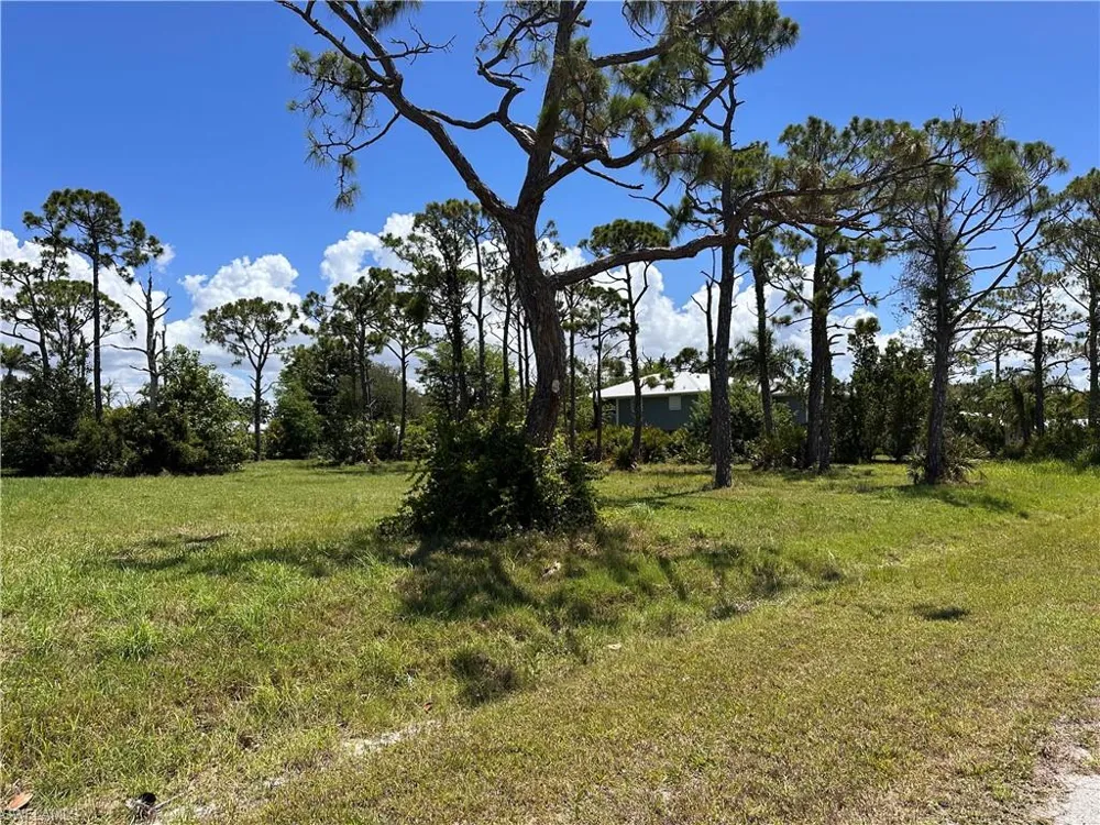 3728 Mango Street St. James City, FL 33956