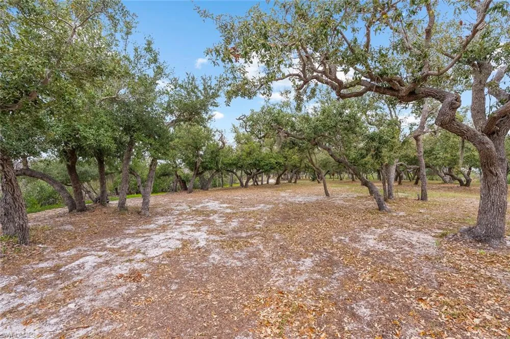 Burgess Island Bokeelia, FL 33922