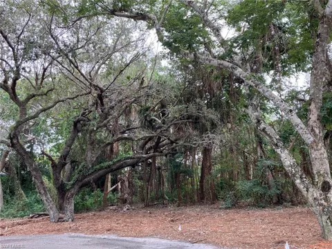 379 Morning Glory Lane