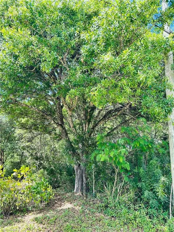19850 Burgundy Farms Road Estero, FL 33928