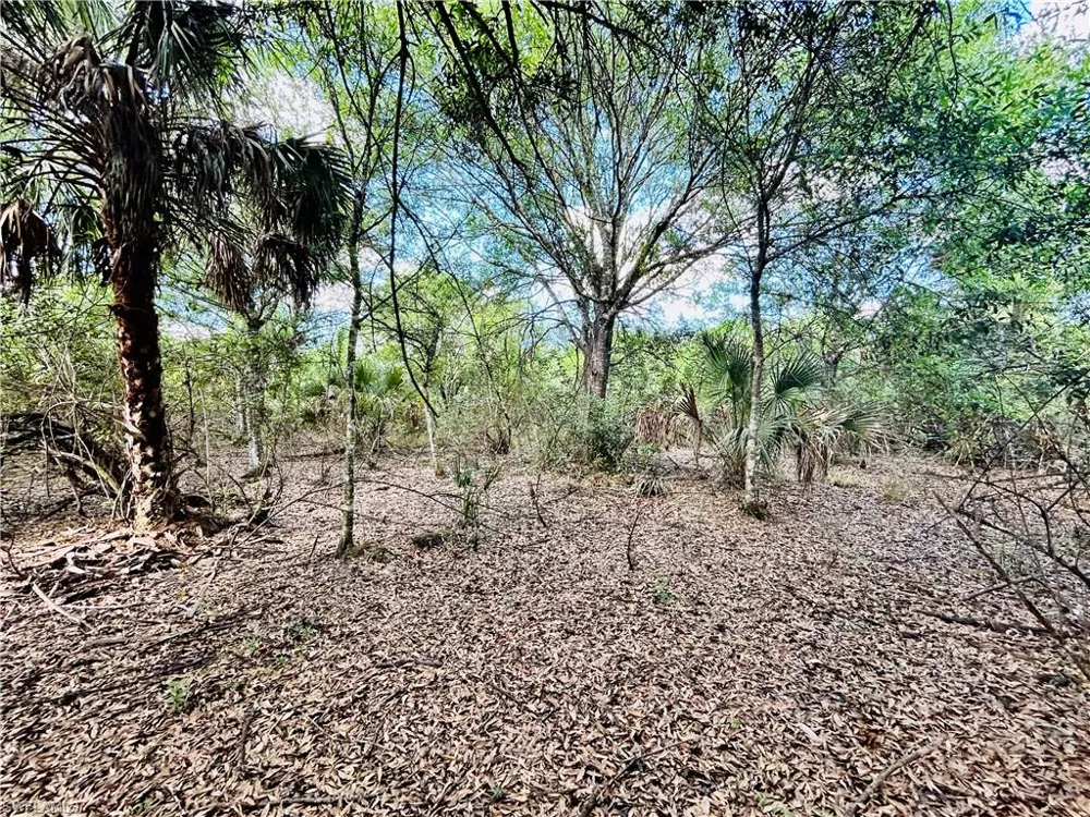 19850 Burgundy Farms Road Estero, FL 33928