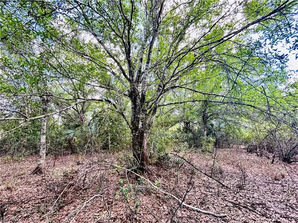 19850 Burgundy Farms Road Estero, FL 33928