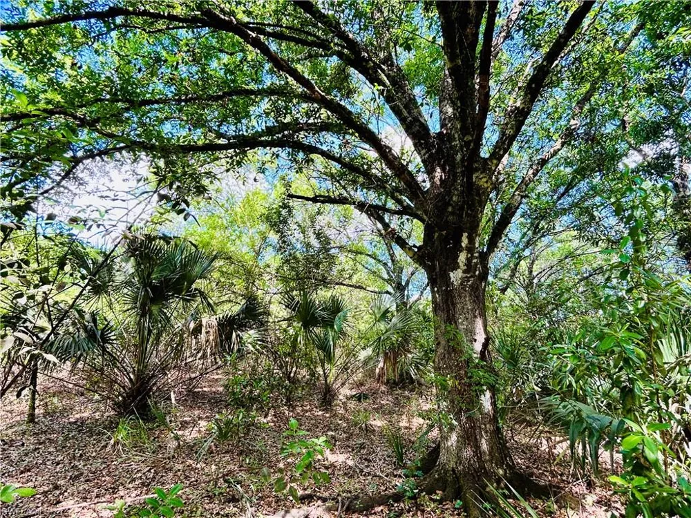 19850 Burgundy Farms Road Estero, FL 33928