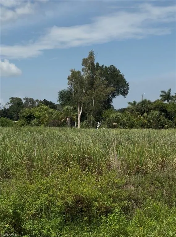 2536 Tamiami Trail North Fort Myers, FL 33903