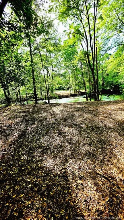 3524 Pine Log Road Lumberton, NC 28360