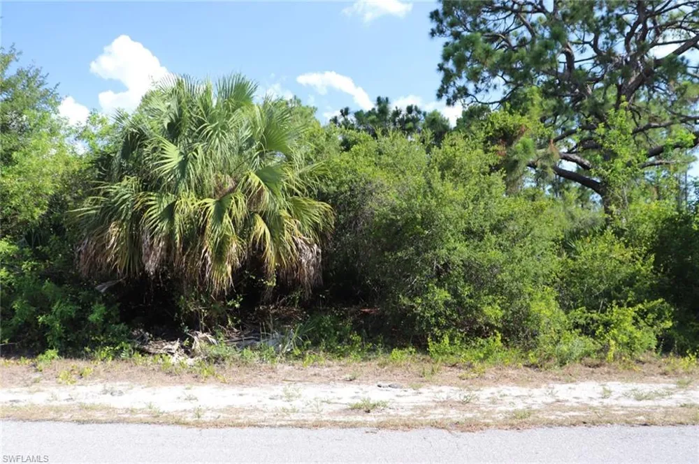 4244 E 24th Street Alva, FL 33920