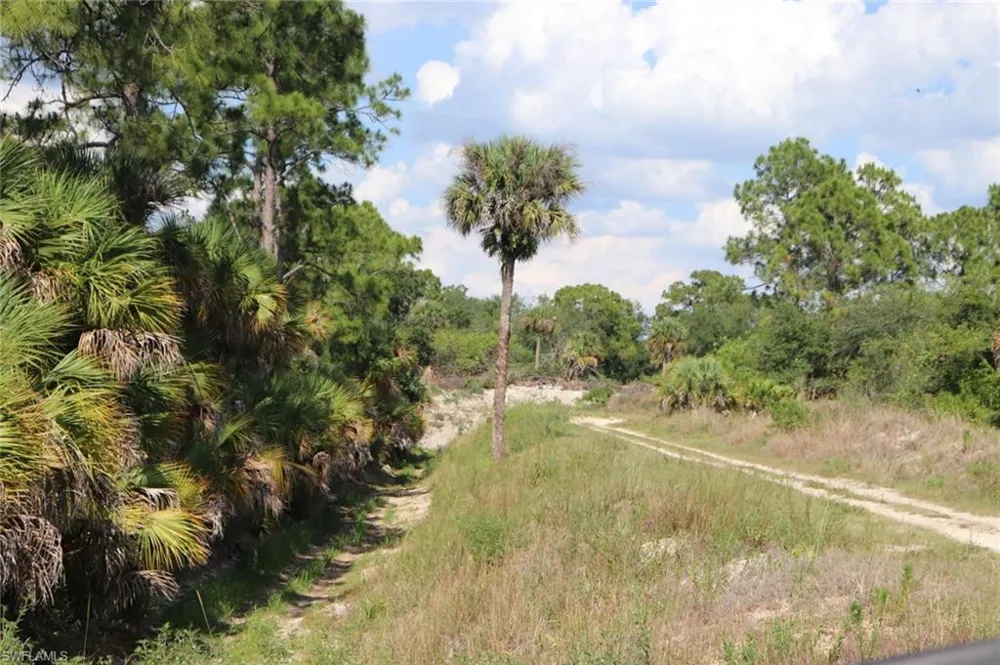 4244 E 24th Street Alva, FL 33920
