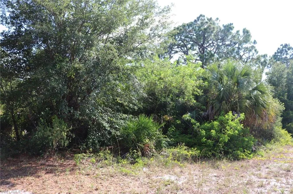 4244 E 24th Street Alva, FL 33920