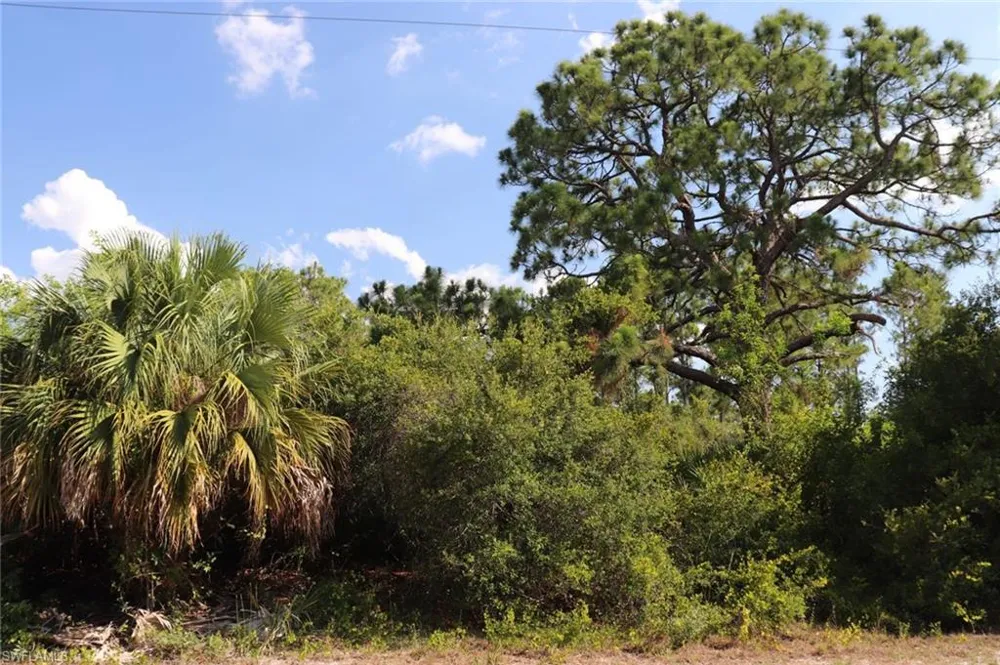 4244 E 24th Street Alva, FL 33920