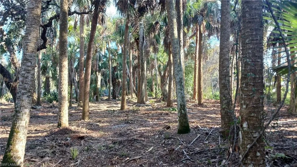 16470 Daughtreys Creek North Fort Myers, FL 33917