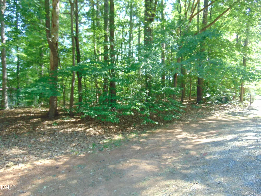 3107 Piney Point Drive Bullock, NC 27507