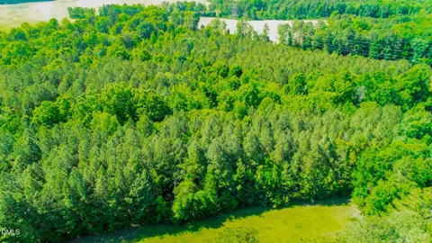 10.19 Acre Orange Grove Road
