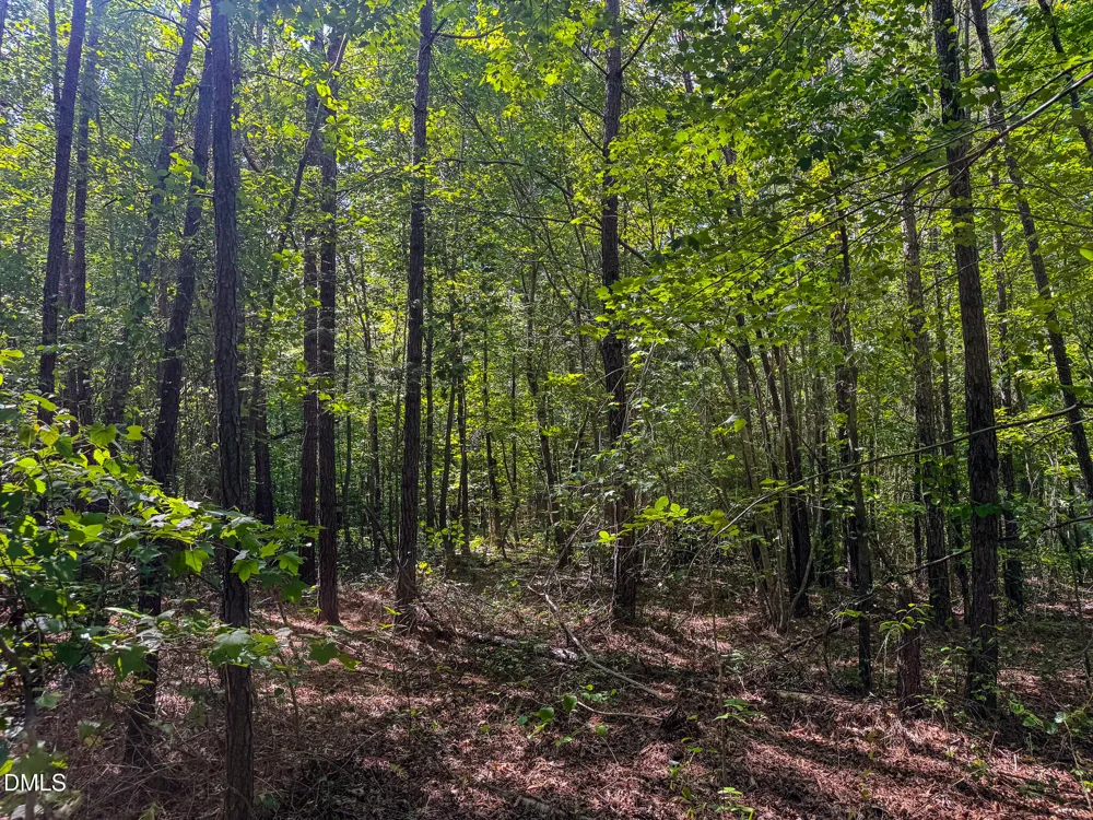 10.19 Acre Orange Grove Road Hillsborough, NC 27278